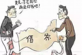 平江为什么选择专业追讨公司来处理您的债务纠纷？